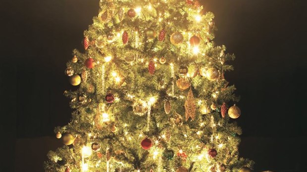 D'où vient la tradition du sapin de Noël?  infodimanche.com