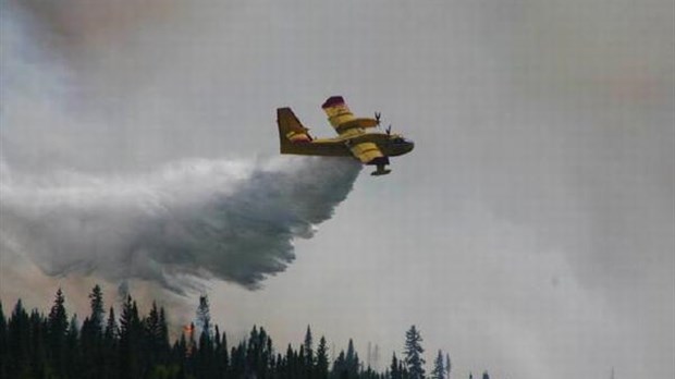 Lancement du concours « Tourne ta pub! » pour la protection des forêts contre le feu