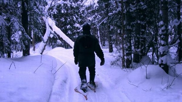 Goûtez aux plaisirs de l'hiver