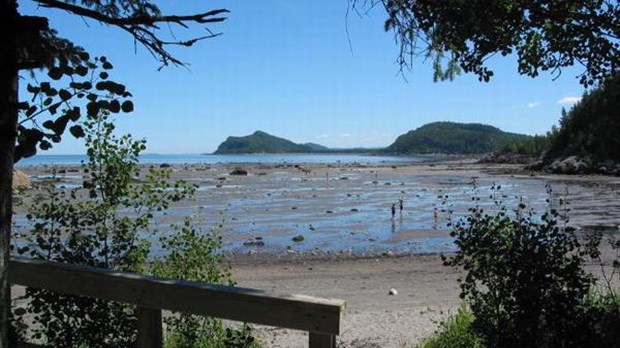 Cet été, découvrez le Parc national du Bic