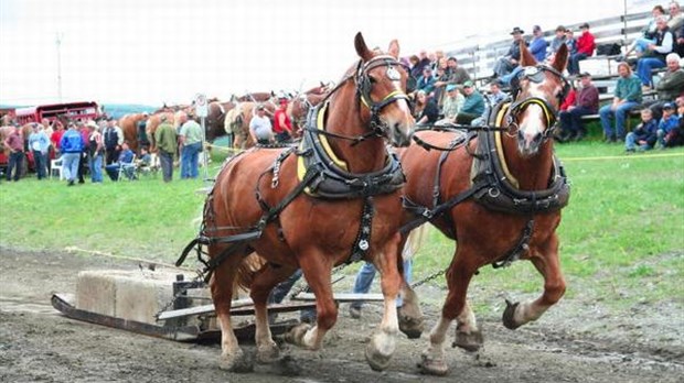 Exposition agricole du Témiscouata : 80 ans, ça se fête!