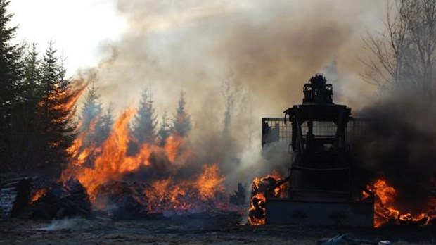 Feu de forêt à Saint-Bruno