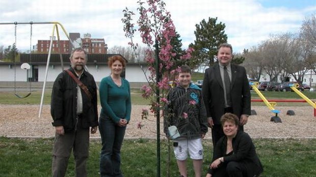 Projet « Adopte un arbre » à  l'École Joly