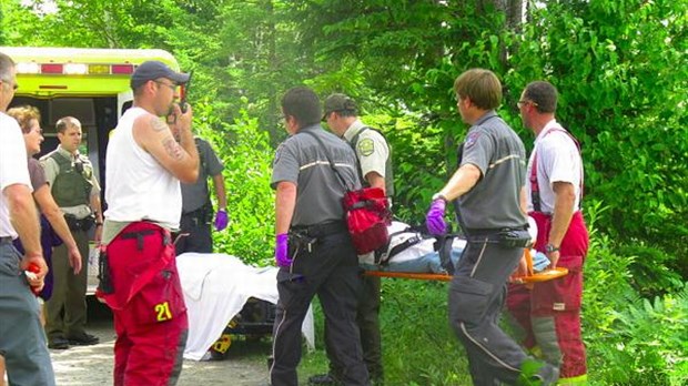 Retrouvés après une nuit en forêt