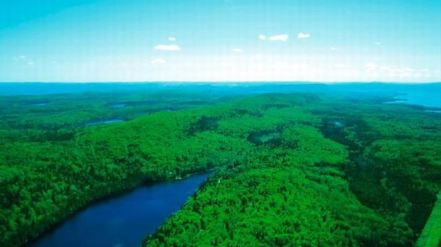 Les chasseurs ont accès au territoire du parc national cet automne