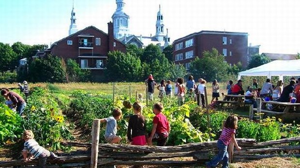 Véritable succès pour la fête des récoltes à Trois-Pistoles