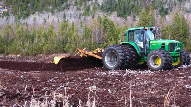 Le projet de Bic–Saint-Fabien, unique au Canada