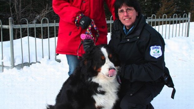 Un chien, une laisse