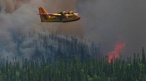 Inflammabilité grandissante dans les forêts du Bas-St-Laurent