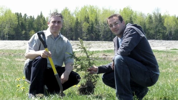 Le festival en carton du Témiscouata plante des arbres