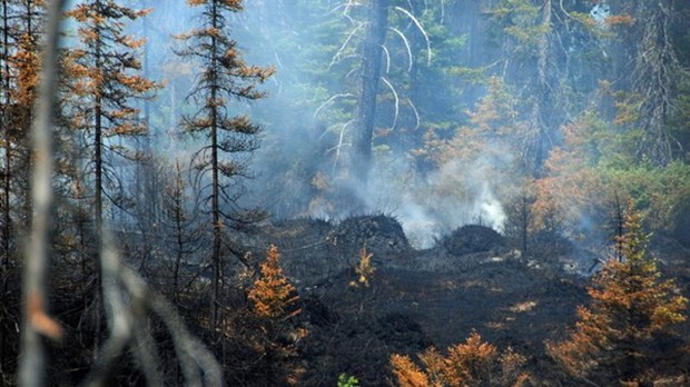 Pas de répit pour les pompiers forestiers