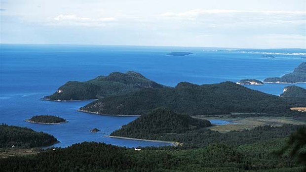 Restauration de tourbière au Parc national du Bic