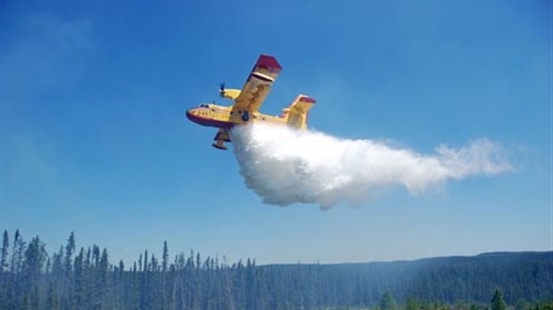 Incendies de forêts : la pluie du week-end ne suffit pas