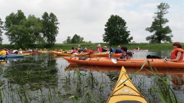 10 activités nautiques à faire avant la fin de l'été dans le Bas-Saint-Laurent