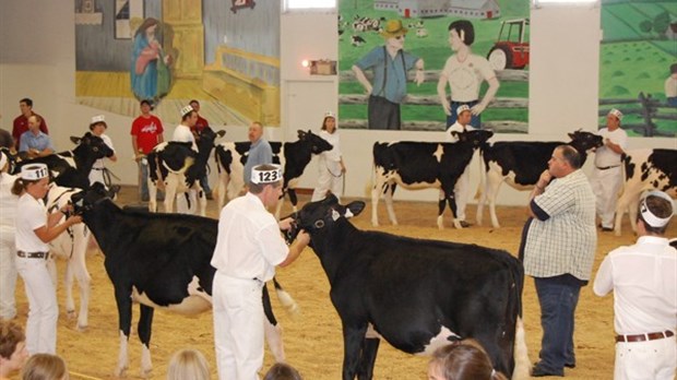 C'est la 83e exposition agricole à Saint-Pascal