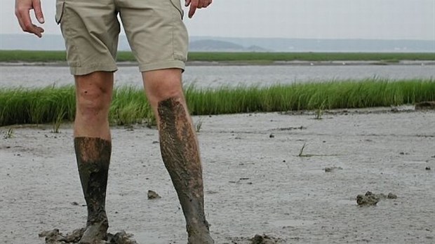 C'est aujourd'hui le Sentier de la bouette à l'île Verte