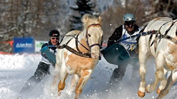 Derby d’attelage et ski joëring à Saint-Antonin