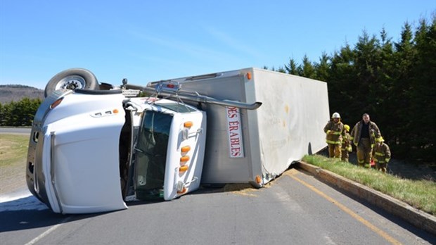 Sortie mouvementée pour des porcs sur l'autoroute 20