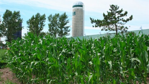 La Financière agricole est en train de tuer les petites fermes, selon André Simard