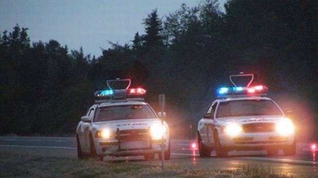 Activités policières en bref