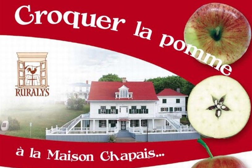 La pomme, une histoire à croquer