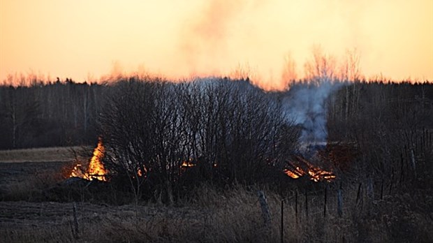 Un feu de broussailles mobilise les pompiers