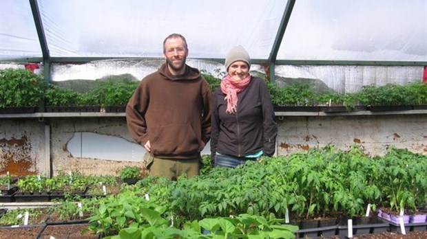 Un été gastronomique avec les paniers des Jardins du Baluchon