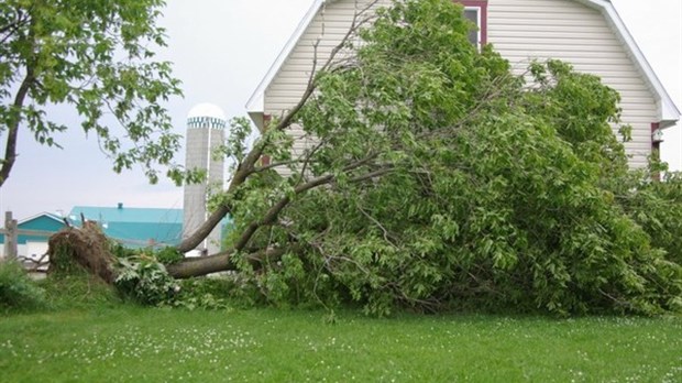 Une microrafale s'abat sur Saint-Simon