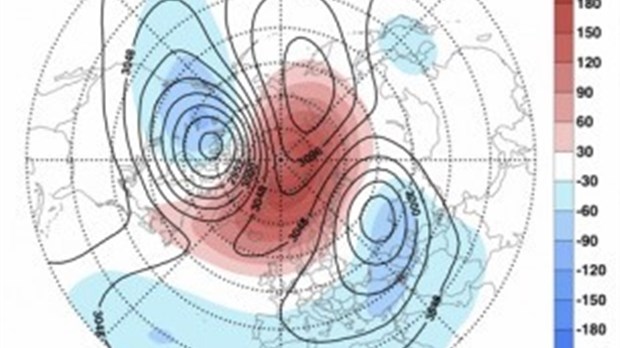 Un froid polaire causé par un réchauffement