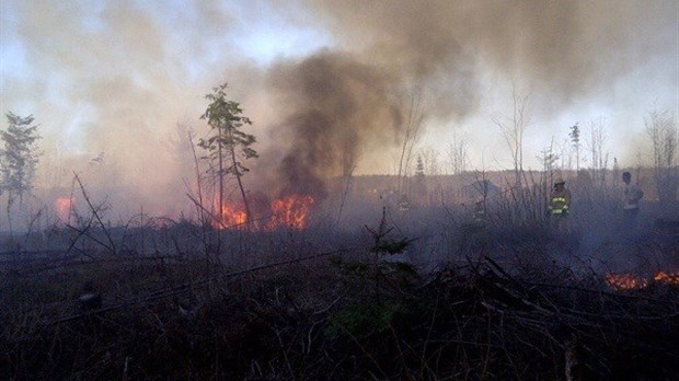 Incendie extérieur maitrisé à L'Isle-Verte