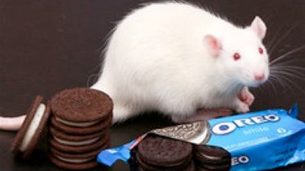 Biscuits Oreo, cocaïne et communiqués