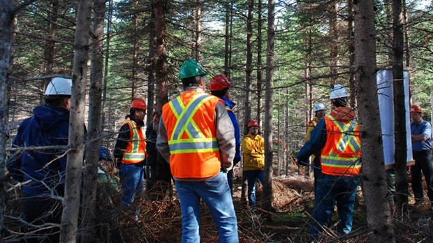 Une belle mobilisation des acteurs du monde forestier