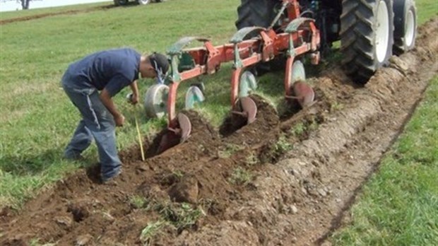 Concours de labour à Cacouna