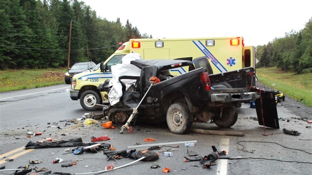 Baisse marquée des collisions mortelles au Bas-Saint-Laurent