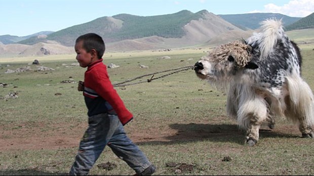 Départ pour la Mongolie ce soir