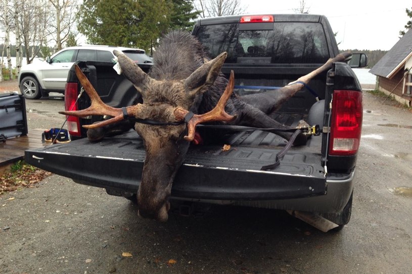 Chasseurs pr voyez l enregistrement de votre gibier