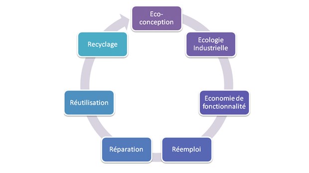 Le Kamouraska, leader écologique?