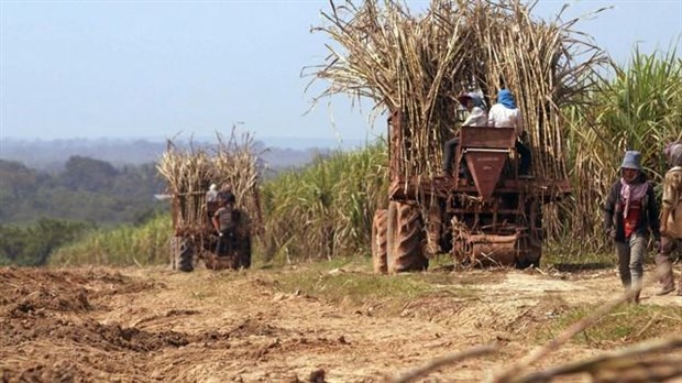 L’accaparement des terres, un phénomène mondial