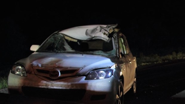 Collision avec un orignal à Saint-Médard