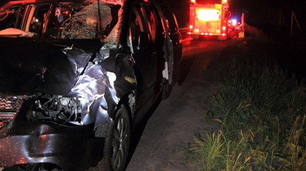 Collision avec un orignal sur la route 185