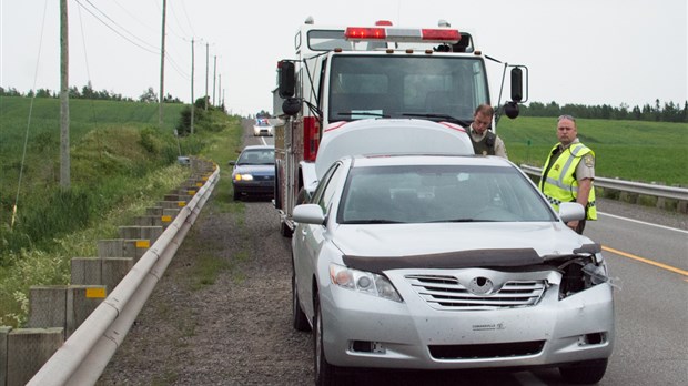 Collision Avec Un Chevreuil à Saint-Alexandre | Infodimanche.com