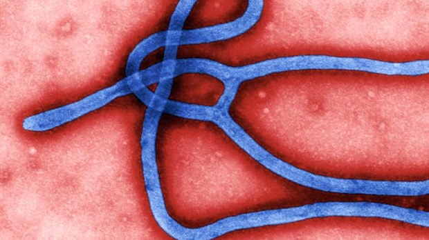 Combattre Ebola ou combattre l'ignorance?