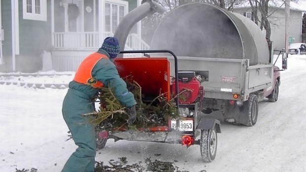 Collecte des arbres de Noël à Rivière-du-Loup