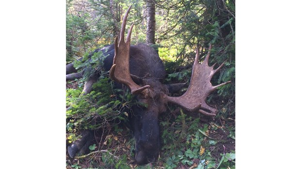 La SQ invite les chasseurs à la prudence