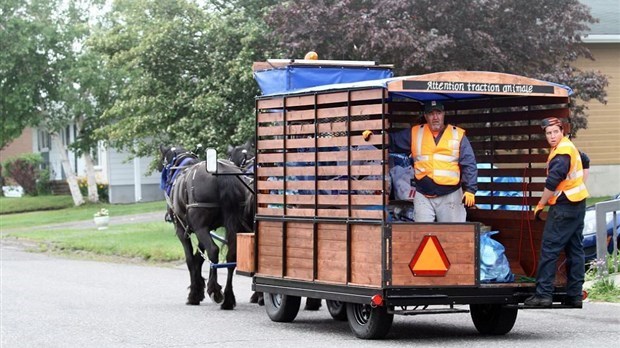 Bilan positif pour la récolte du recyclage avec des chevaux