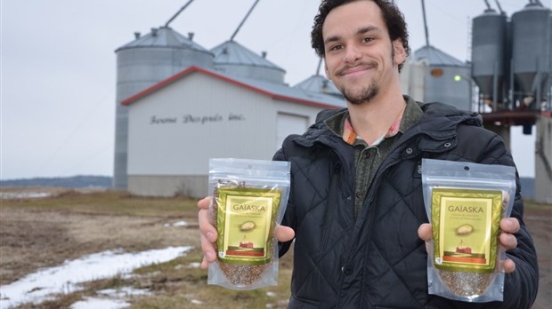 Des graines de chanvre produites à Saint-Pascal vendues à Cabano et Trois-Pistoles