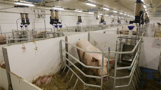 Les Viandes duBreton agrandit son usine de Rivière-du-Loup