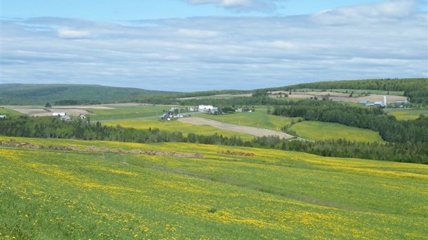 Accaparement des terres agricoles: urgence d'agir, estime l'UPA