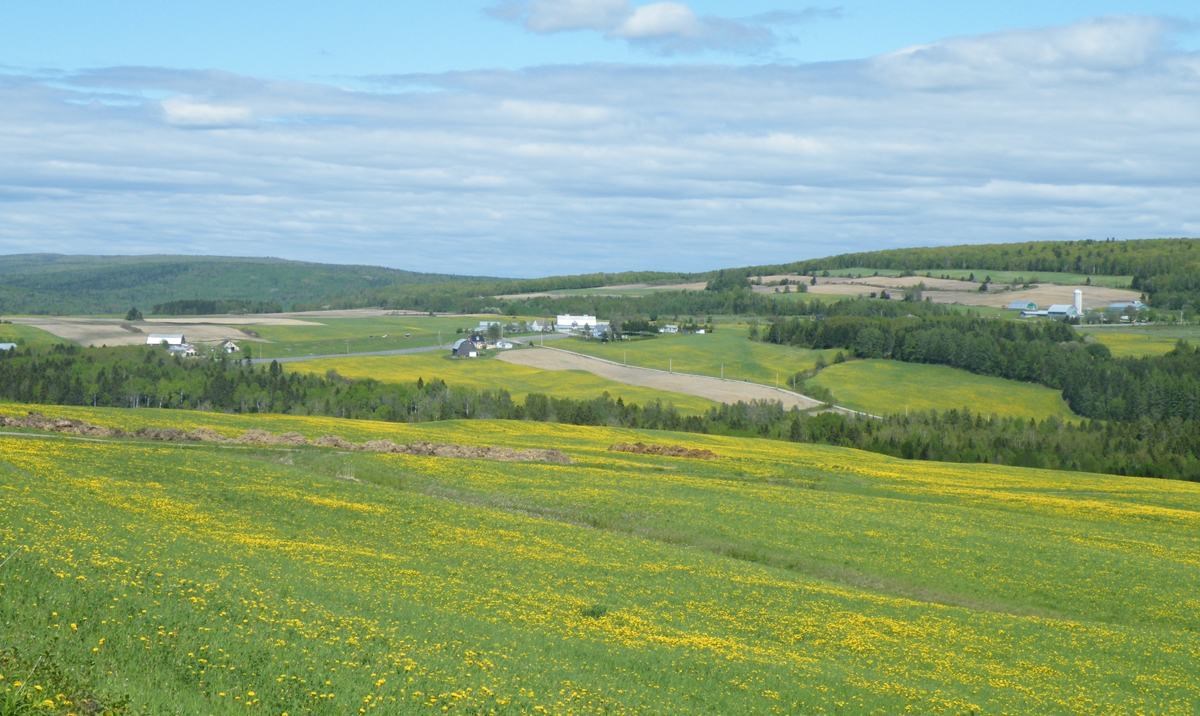 Accaparement des terres agricoles urgence d'agir, estime l'UPA