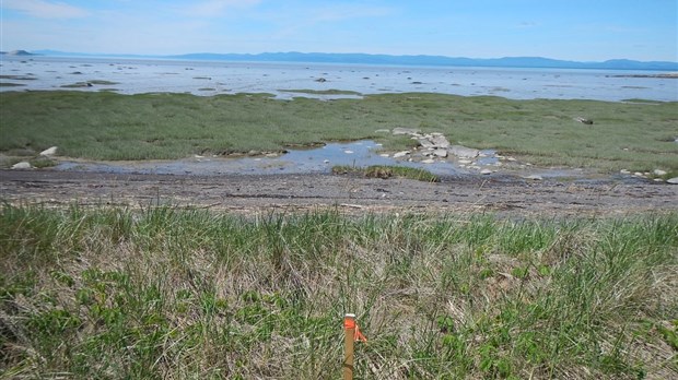 Les travaux en milieu côtier se poursuivent à l’Anse-du-Portage